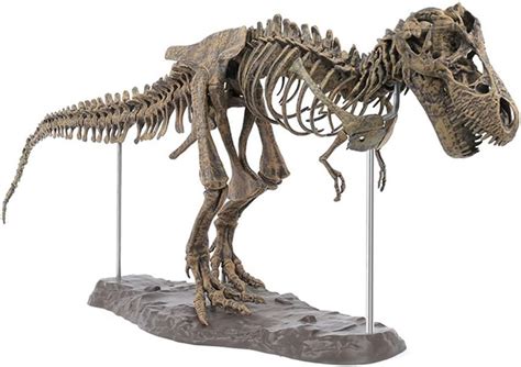 Sureh Giant Dinosaur Skeleton Model Kit Tyrannosaurus Rex Skeleton