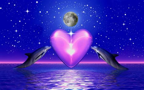 Dolphin Heart Wallpapers Top Free Dolphin Heart Backgrounds