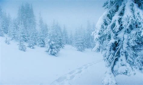 Schneefall von bis zu 40 zentimeter, verwehungen durch eisigen schnee und eisregen könnten für chaos auf den straßen sorgen. Kälte-Schock: Der erste Schnee ist in Deutschland gefallen! - kukksi.de