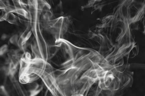 Cats and secondhand smoke cats are more prone to develop cancers of the mouth and lymph nodes because of secondhand smoke. 7 Things That Cause Lung Cancer That Aren't Smoking | The ...
