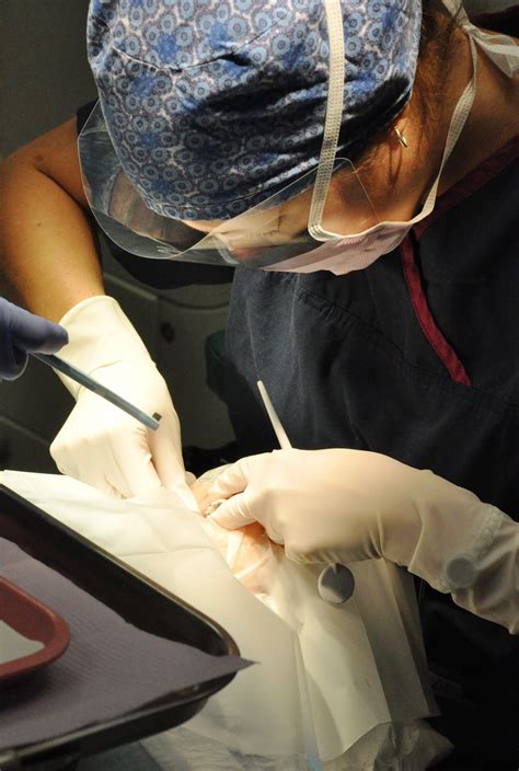 Saint Cloud Surgical Center 2009 - St. Cloud Surgical Center