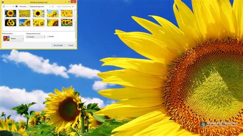 Download Sunflower Windows 7 Theme 1.00