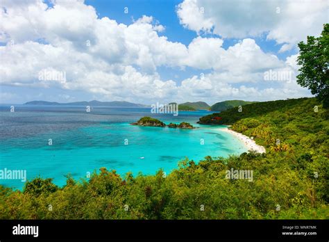 Aerial View Of Picturesque Trunk Bay On St John Island Us Virgin