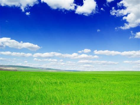 Funny Pictures Gallery Blue Sky Clouds Wallpaper Blue