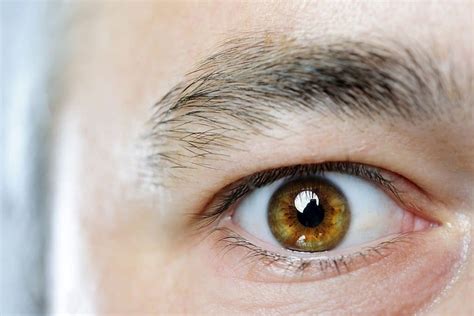 Facts About Hazel Eyes