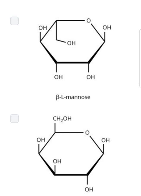 Solved Identify The Anomers Of L Mannose From The Given