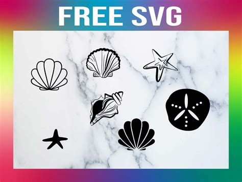 Free Sea Shell Svg Cut Files