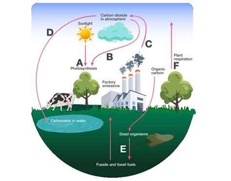 Renewable energy sources are sources of energy that is constantly replenished through natural processes. Earth Receives Energy From The Sun Through What Method Of ...