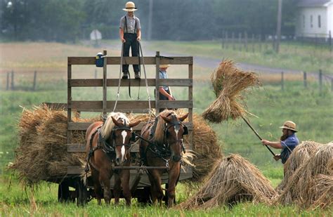 Kids On Amish Farms Are Less Likely To Get Asthma A New Study