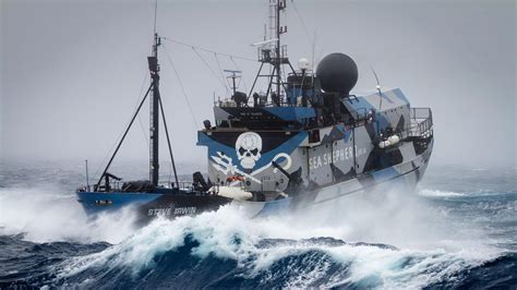 Faire Un Don à Sea Shepherd France