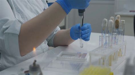 Microbiologist In Gloves Working In Medical Stock Footage SBV 346622969