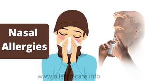 Nasal Allergy Definitions Symptoms Medicine Remedies And Yoga Allergie Care
