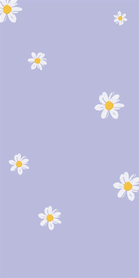 Small Daisy Purple Mobile Phone Wallpaper Background Phone Wallpaper