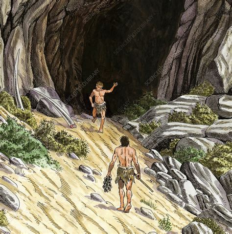 Palaeolithic Cave Dwellers Artwork Stock Image C0168300 Science