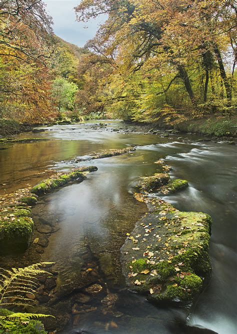 Autumn On The River Barle
