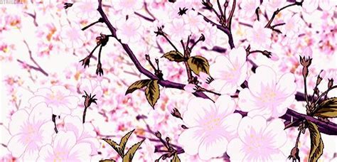 Pin De Jia Fei En ⛅ Flower Pink Cherry Blossoms Sakura Place ⛅