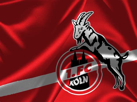 This page contains an complete overview of all already played and fixtured season games and the season tally of the club 1. 1. FC Köln #014 - Hintergrundbild