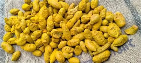 Natural Dried Turmeric Solid At Rs Kg In Gokak Id