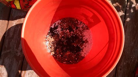 Proper cactus potting soil isn't only about dirt. How to Build a Vertical Succulent Garden