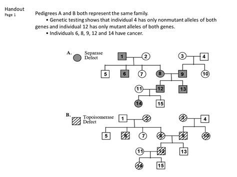 Pedigree Analysis X Linked Genes Answer Key Tips For Understanding