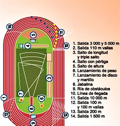 Lista 91 Foto Cuales Son Las Pruebas De Campo En El Atletismo Alta