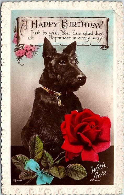 Postcard Scottish Terrier Dog Scottie Happy Birthday England York