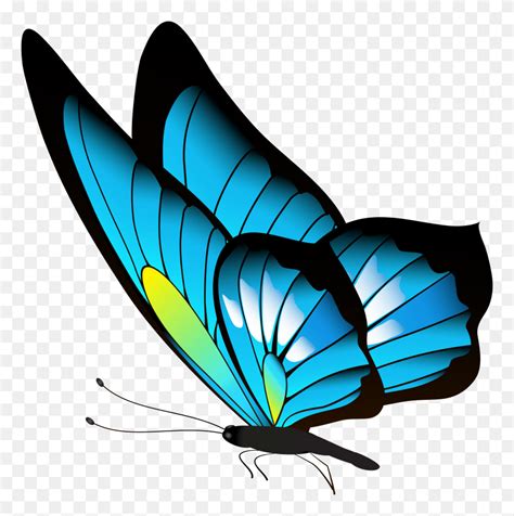 Blue Butterfly Png Tumblr Butterfly Png Stunning Free Transparent