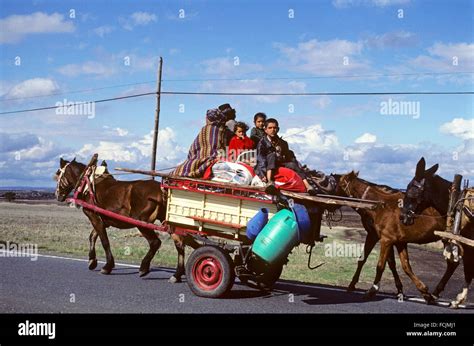 Gypsies Travelling With Horse Drawn Carriage In Alentejo Region Stock