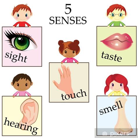 Poster Five Senses Pixersuk