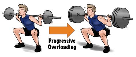 Muscle Development With Progressive Overload The Concept You Must