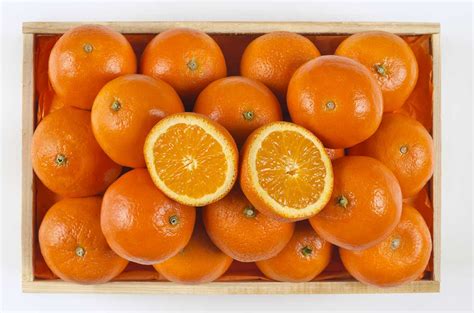 Conoce Todas Las Variedades De Naranjas De Valencia Images