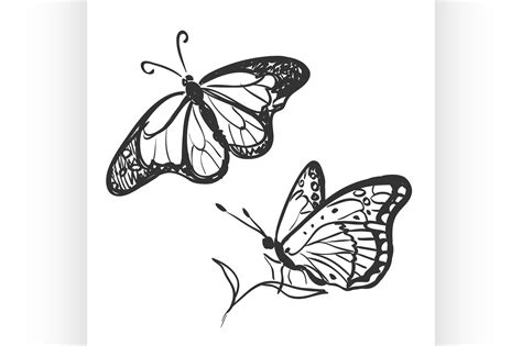 Doodle Butterfly By Netkoff Thehungryjpeg