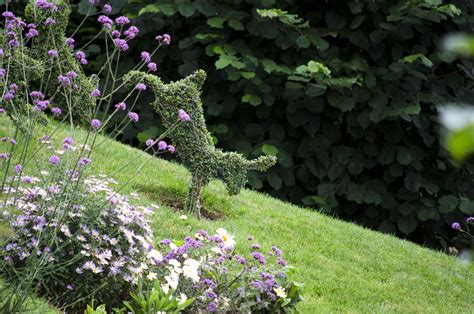 Topiary Animals Bespoke Topiary Plant Sculptures