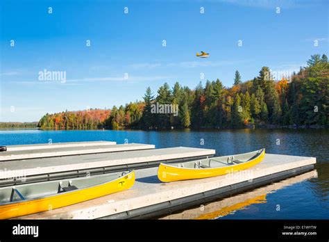 Canoes On Dock Canoe Lake Algonquin Provincial Park Ontario Canada