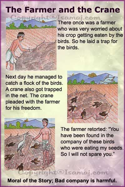 Very short stories in graded english for class and for home. Moral Stories: The Farmer and The Crane | Kids Moral ...