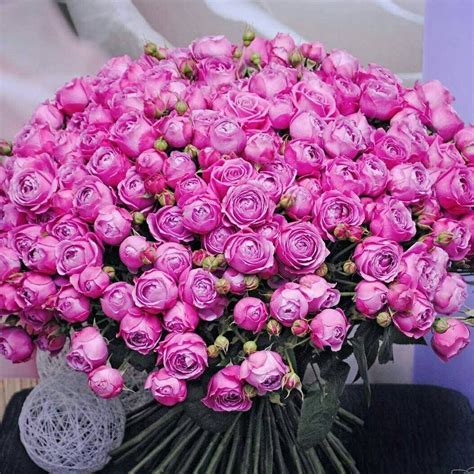 Make a qualifying purchase with 1800flowers coupons on goodshop to get a chance at receiving a 100% cashback coupon every 24 hours. Pin by Magda on Bouquets | Flower boutique, Birthday ...