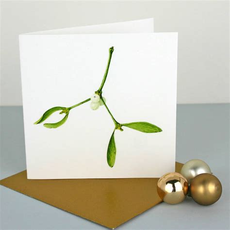 Mistletoe Botanical Christmas Cards By The Botanical Concept