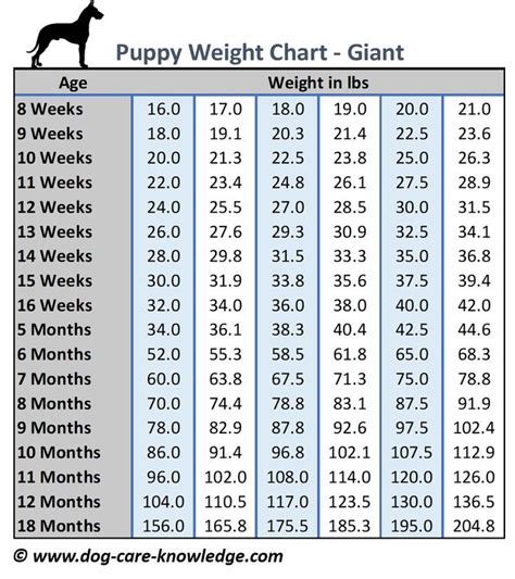 English Bulldog Growth Chart