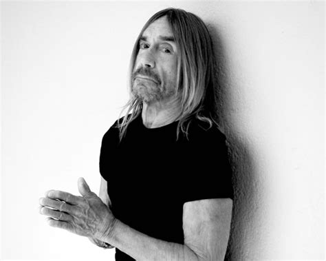 The Passenger Iggy Pop May Be Done Making Albums But Hes A Regular