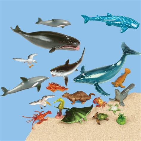 Ocean Animal Figures Collection Science From Early Years Resources Uk