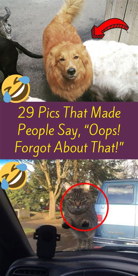29 Pics That Made People Say “oops Forgot About That” Photos Embarrassment Facts Funny