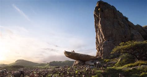 The Location Of Pride Rock In The Lion King