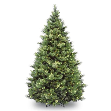 Carolina Pine Christmas Trees At