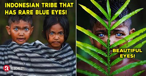 It turns out it isn't nearly as simple as having a red hair gene or a brown hair gene. Beautiful Gene Mutation : A Tribe in Indonesia With Black ...