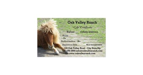 If you're like most small businesses, cash matters. Horse Riding Lessons Gift Certificate Template Business ...