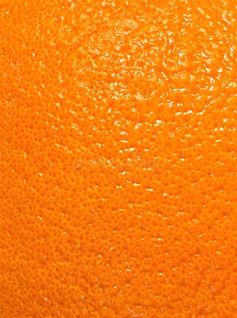 Textura De La Cáscara De Naranja Imagen De Archivo Imagen De Travieso