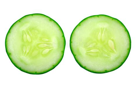 Fresh Cucumber Slice Stock Image Image Of Healthy White 24229433