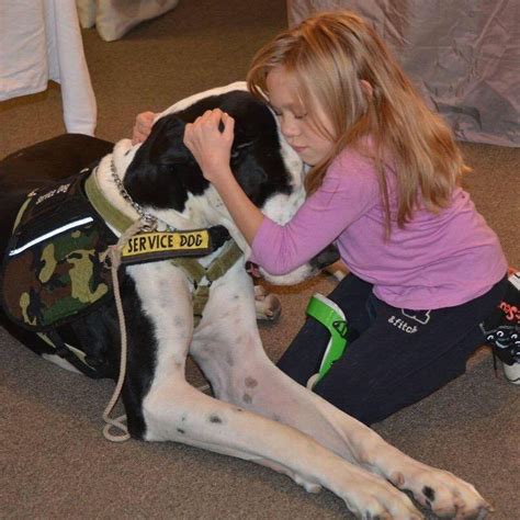Woburn Girl And Her Service Dog Get Pampered In Boston As Part Of Dog