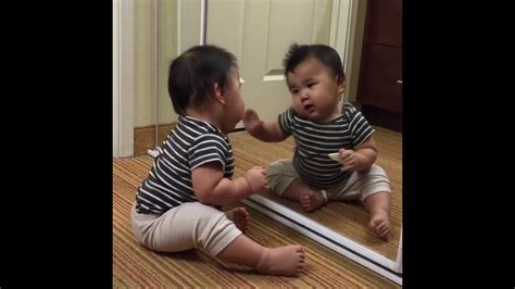 Babies See Mirror For The First Time Compilation YouTube