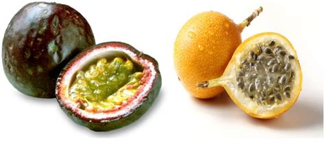 Passion fruit has a lot of nutrients that provides varieties of nutrients essential for our health. Passion Fruit - NAFIS
